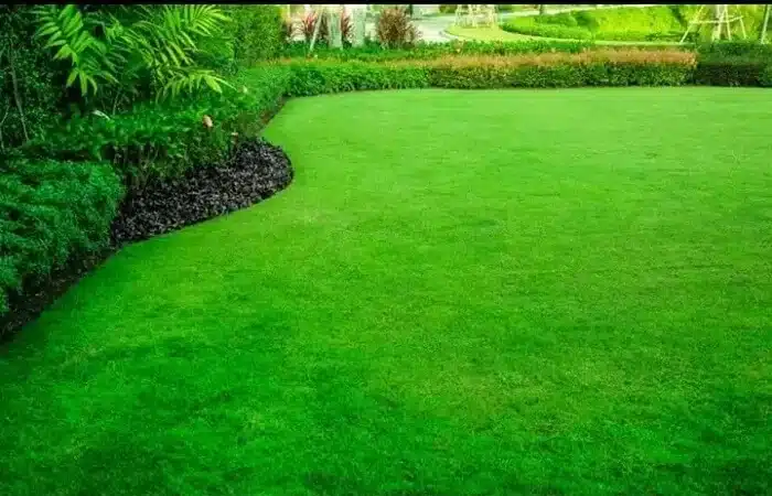 gardening services nairobi Kenya